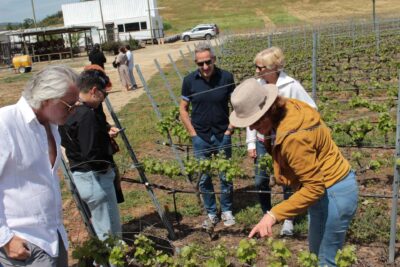 Visit to the winemaker in Casablanca from Santiago