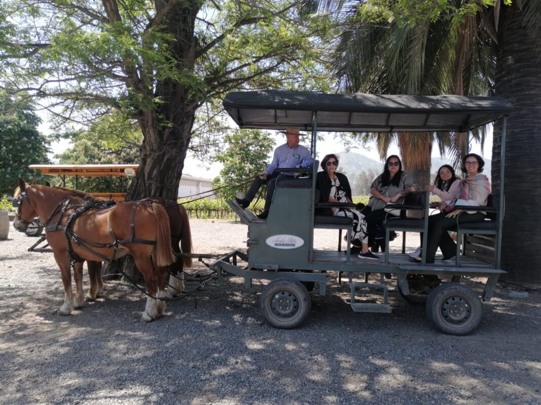 Horses Wine Tour maipo valley