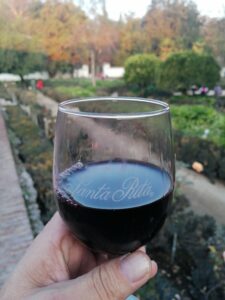 wine tour maipo valley