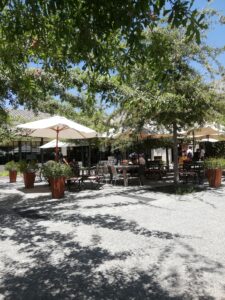 daMaipo Valley tour, concha y torov