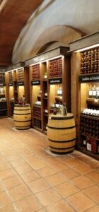 Maipo Valley tour, concha y toro