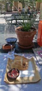 Maipo Valley tour, concha y toro