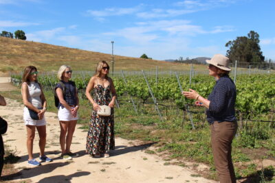 Desfrute de um tour exclusivo pelas vinícolas com o produtor no Vale de Casablanca.