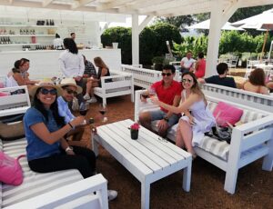 Wine tour in Casablanca Valley