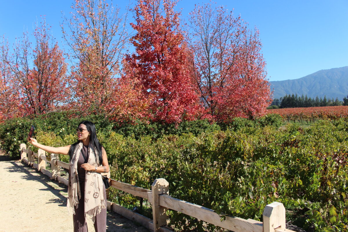 Enjoy the beautiful valley in autumn on a wine tour through the Colchagua Valley