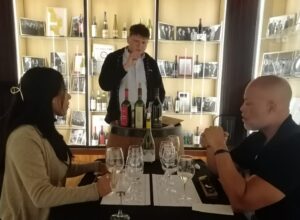 Degustação de vinhos na Bodega Santa Rita com santiagoexperiences.cl